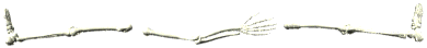 -------------Knochen-------------