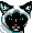 Katze