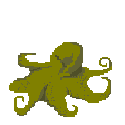 Oktopus